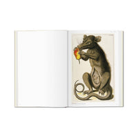 Albertus Seba’s Cabinet of Natural Curiosities