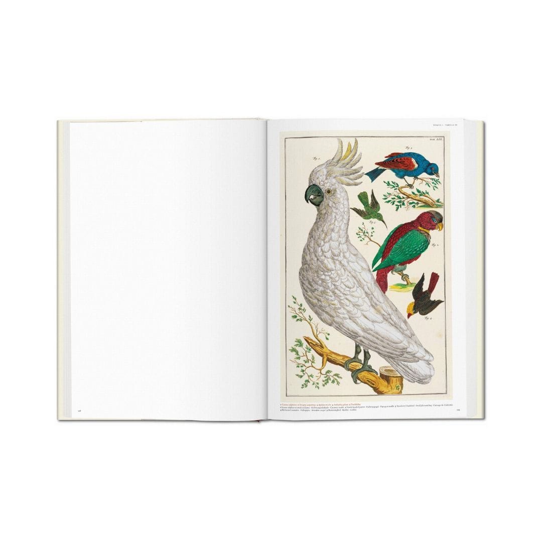 Albertus Seba’s Cabinet of Natural Curiosities
