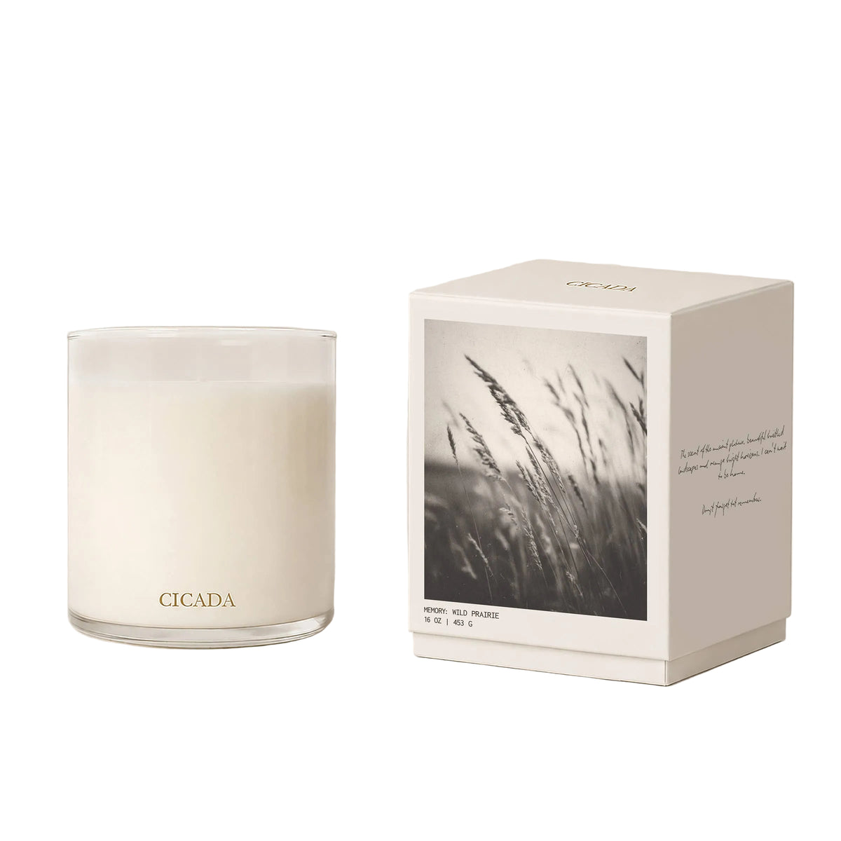 A glass jar candle with white wax sits beside its white packaging box on a warm off-white background. The box features a black-and-white photograph of grasses and the brand name CICADA printed in gold near the bottom.