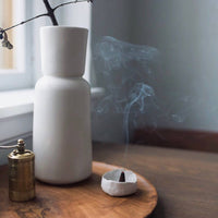Incense Cones - Oakmoss + Fig Commonwealth Provisions Modern Nomad Home decor store Denver CO Colorado