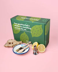 Ginger & Lemon Wellness Infusion Gift Set